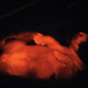 Illustration for article titled Mad Scientists Have Created a Glow in the Dark Dog